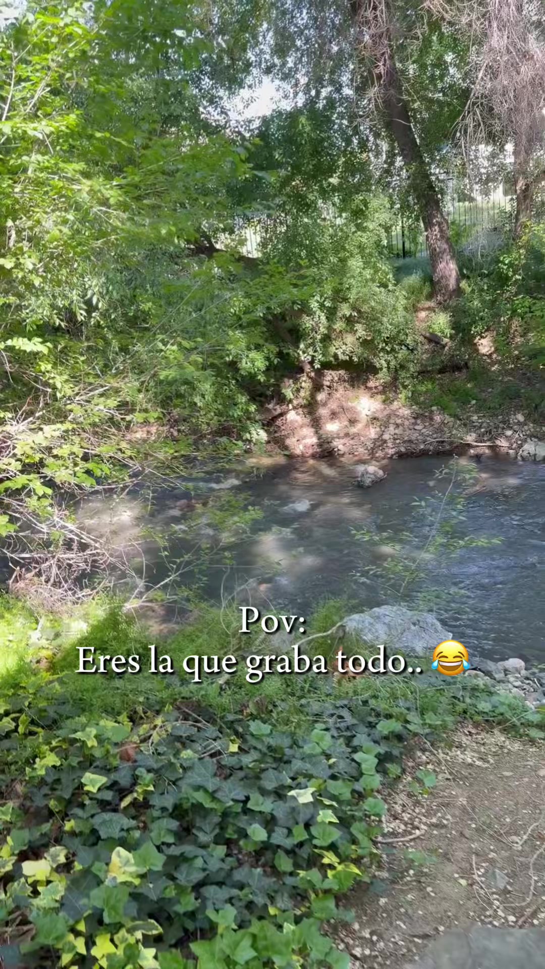 @✨Azucena Montt✨