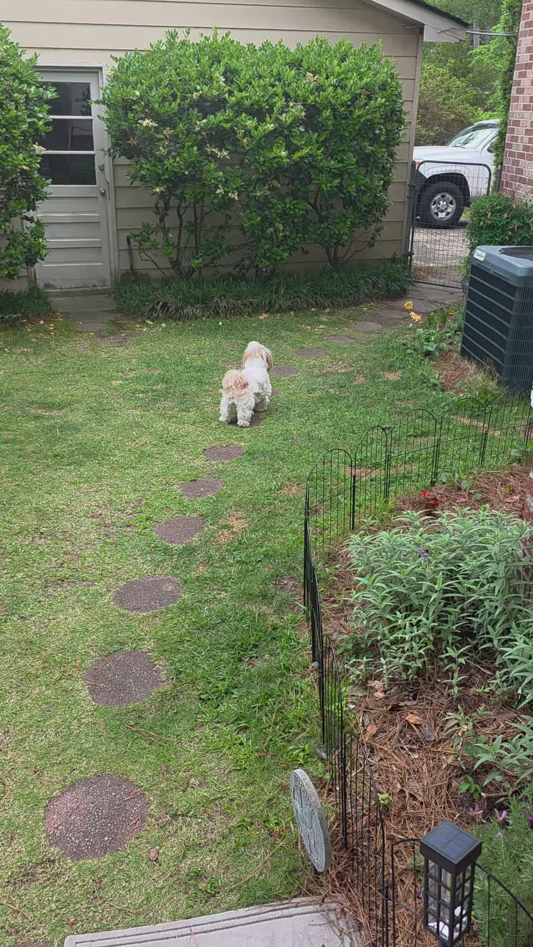 @Little Miss Mollie