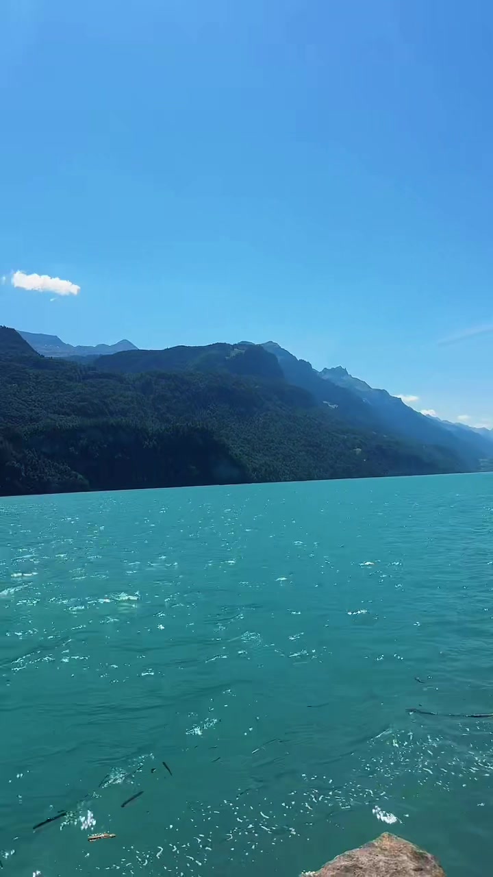 @Bella