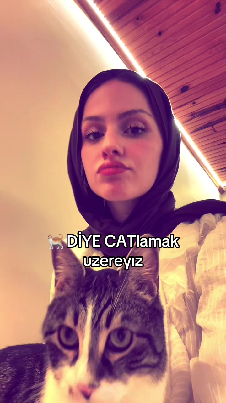 @silaciceekk