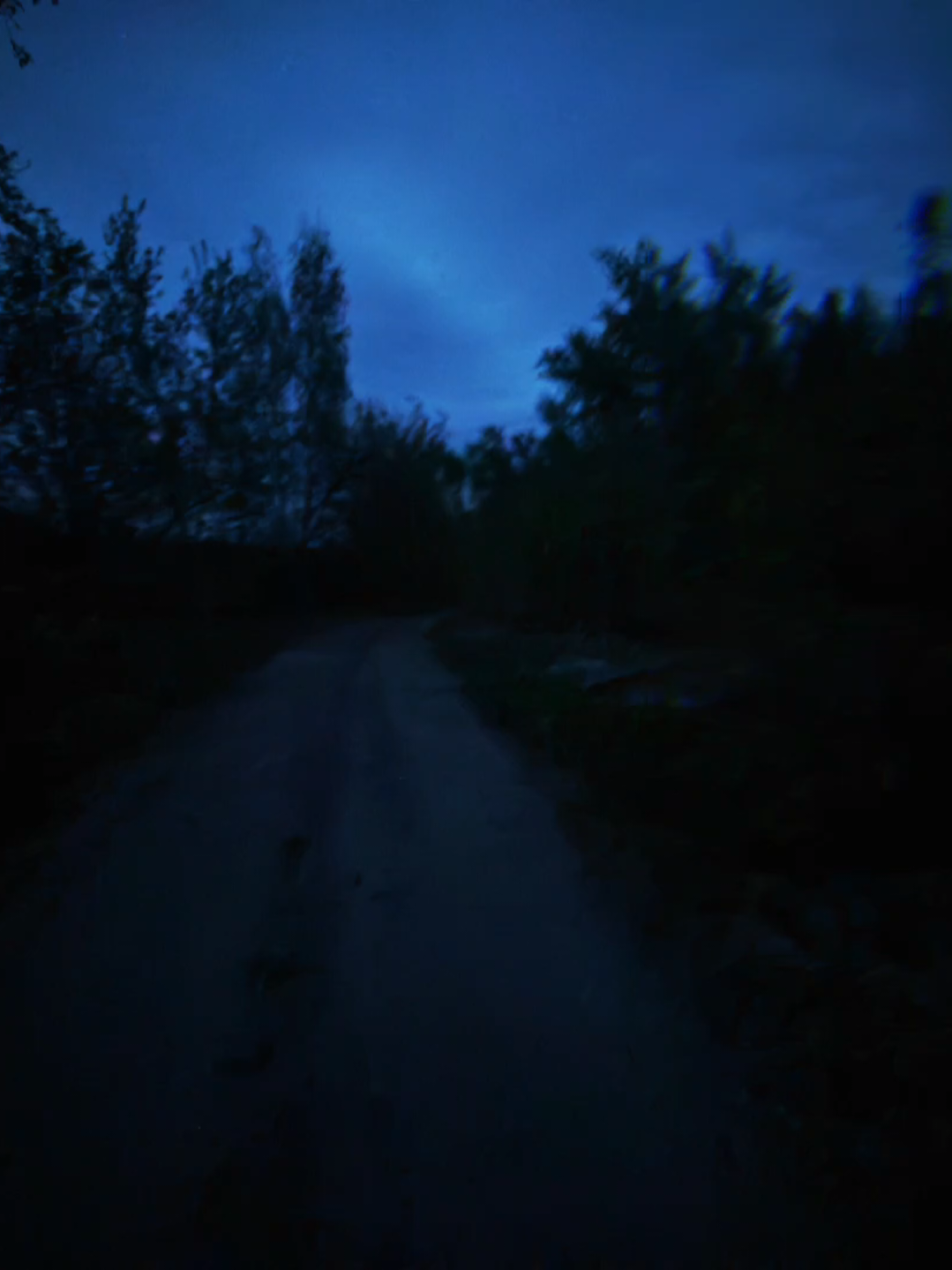 @ᴢxᴄᴜʀʀʏ♫︎
