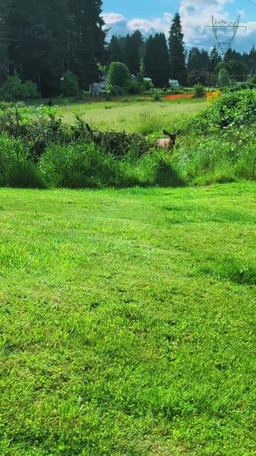 @Sharin&hearts;️🦌🌞🌛&hearts;️