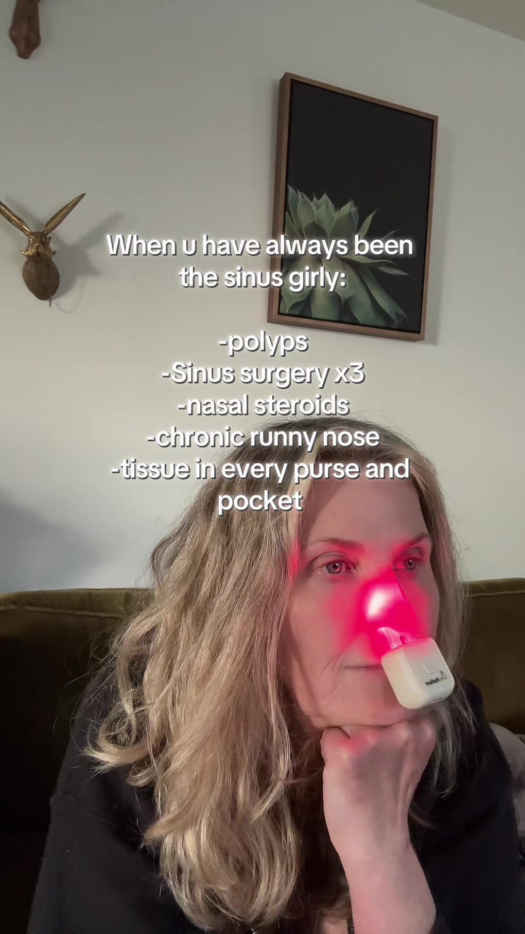 @AgelessDogMomFinds