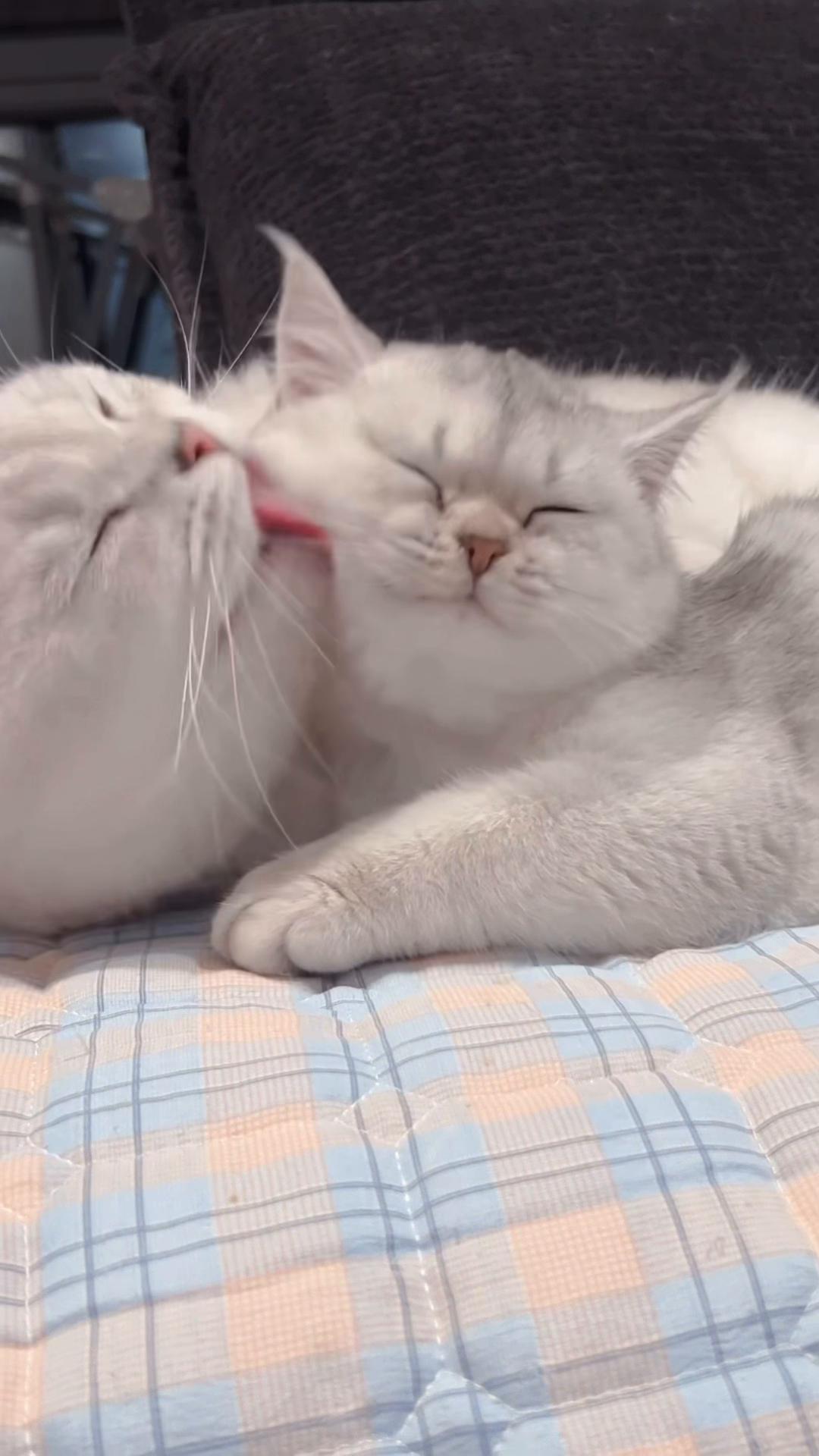 @My Daily Dose of Aww