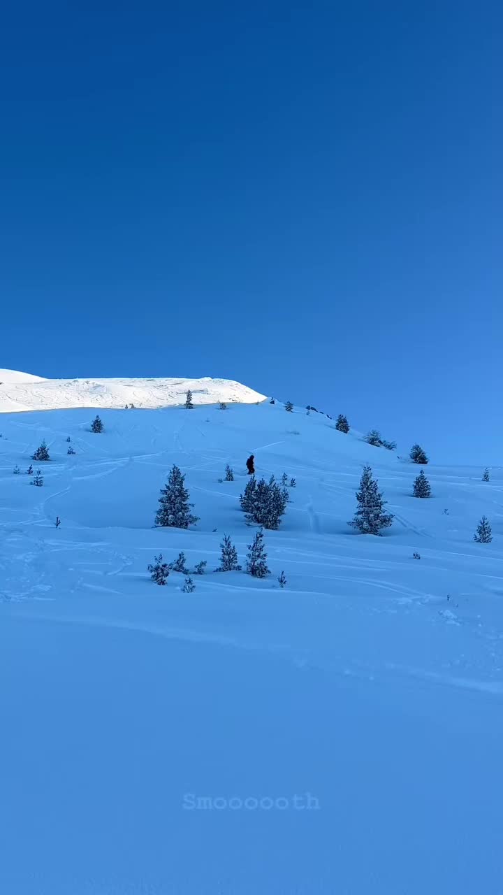 @Elvis Bytyqi