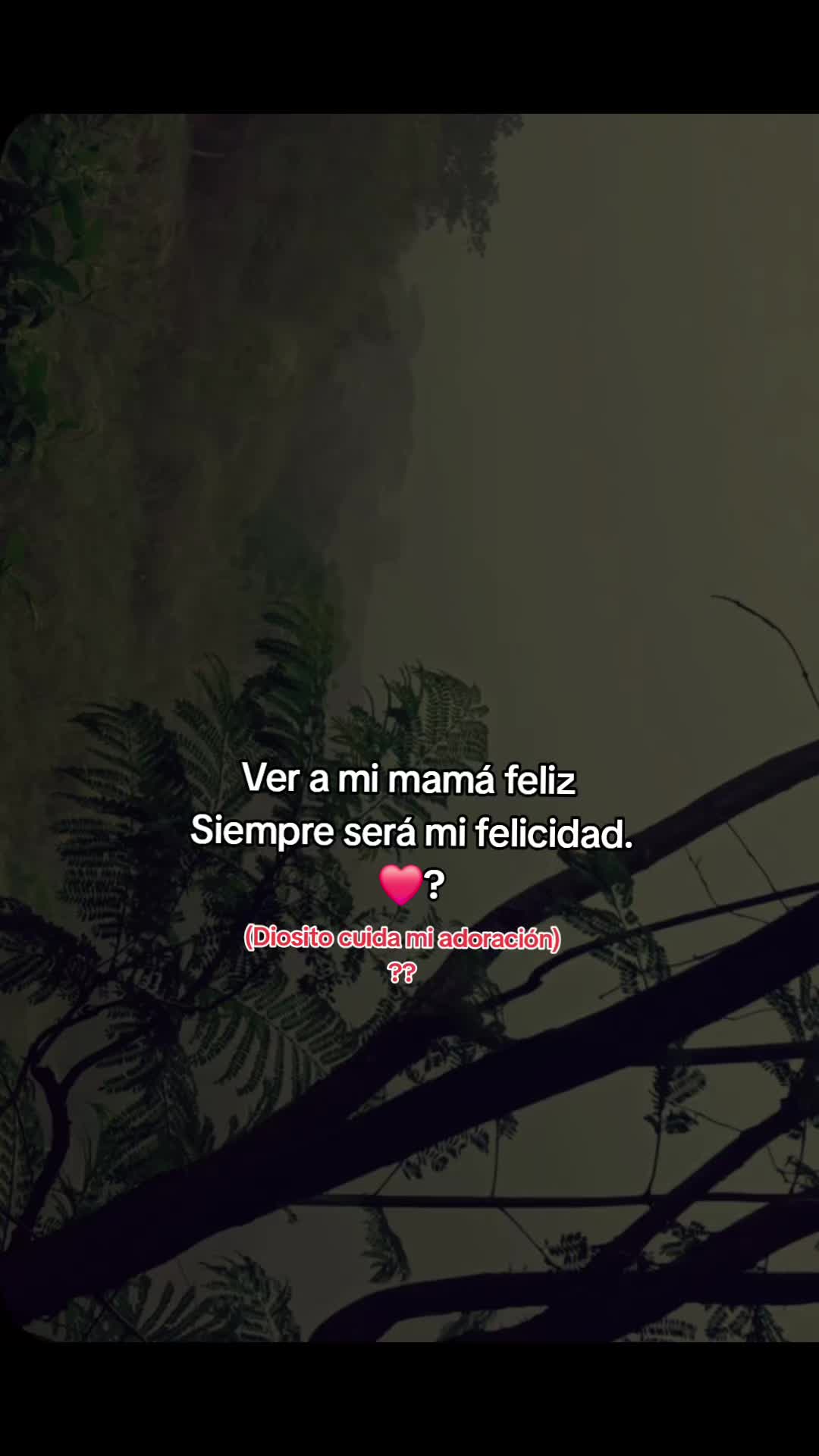 @👹la plebe👹