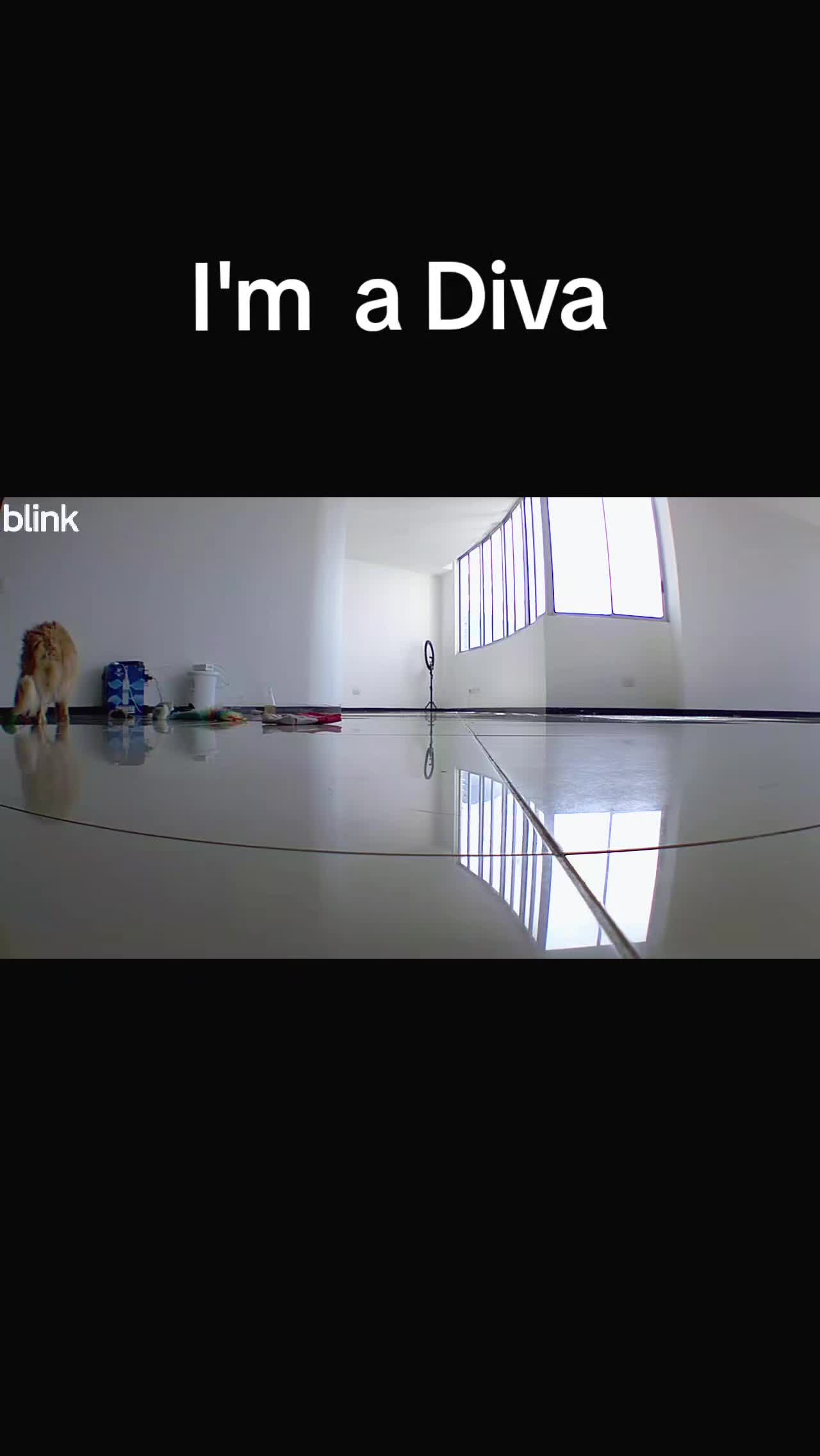 @Luna