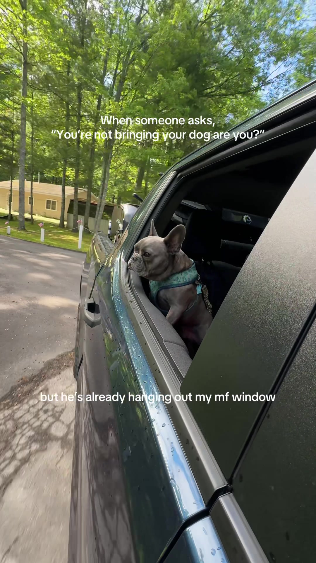 @Louis