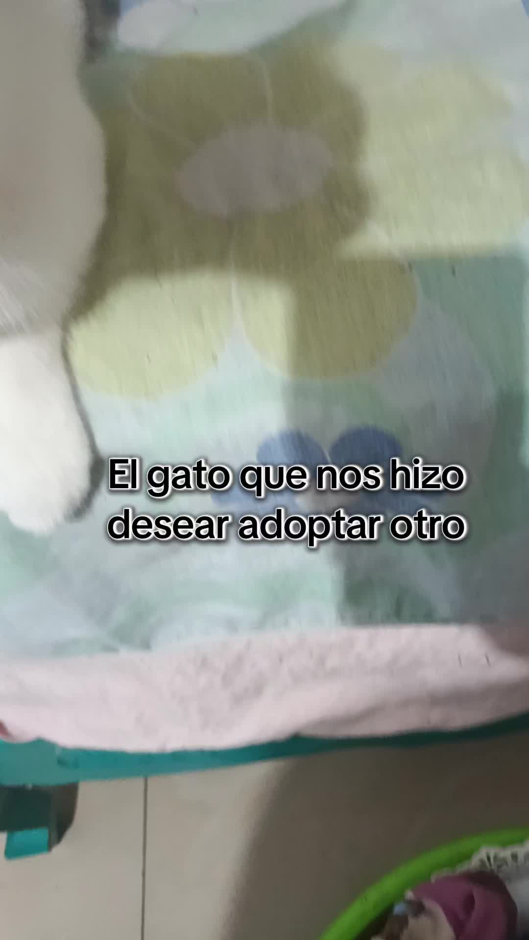 @HugSaiGre S.R😍