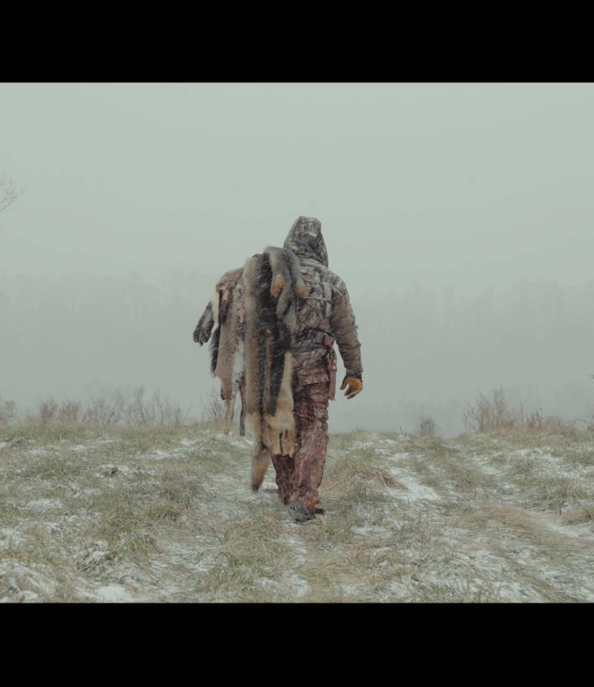 @Bluegrass Trapper