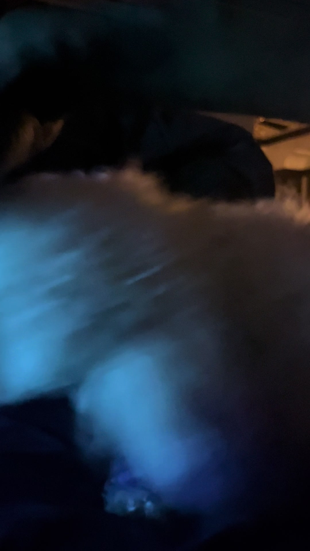@Jay TheDog Trainer