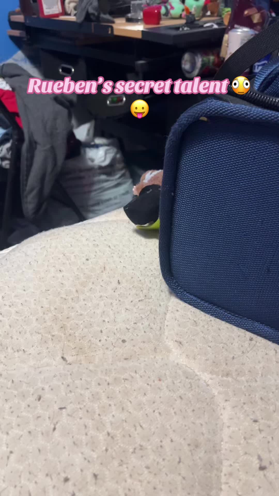 @shuckslover0
