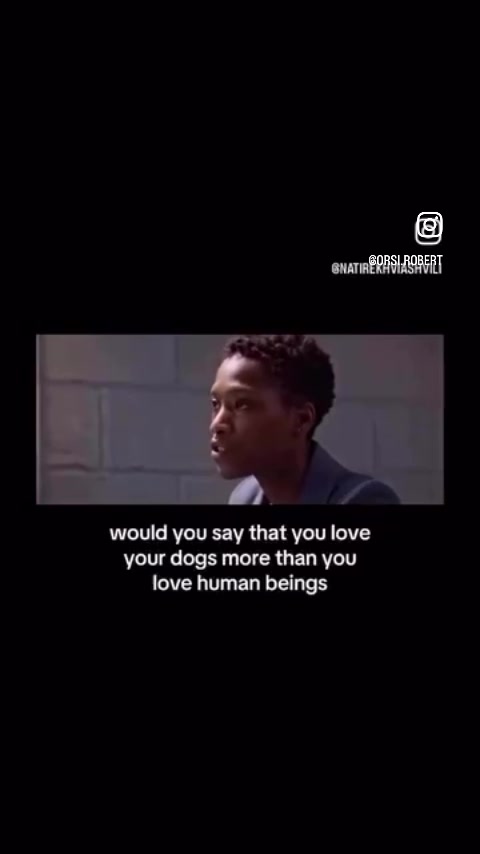 @RobertHouseDoglife
