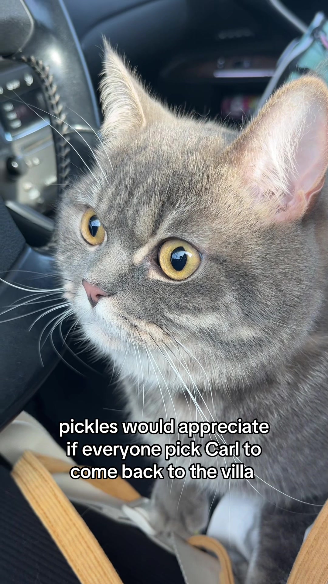 @pickles first life โห๐๐หโ