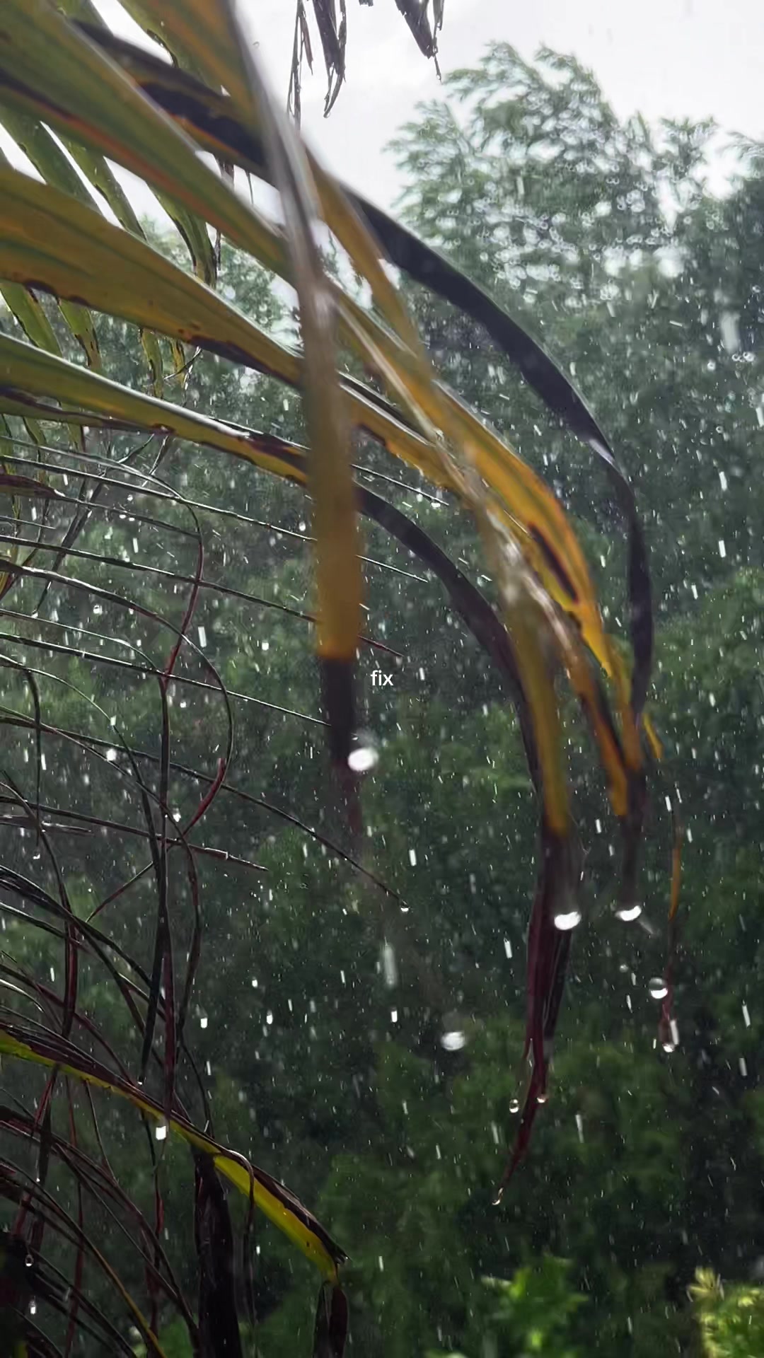 @𓆝 𓆟 𓆞