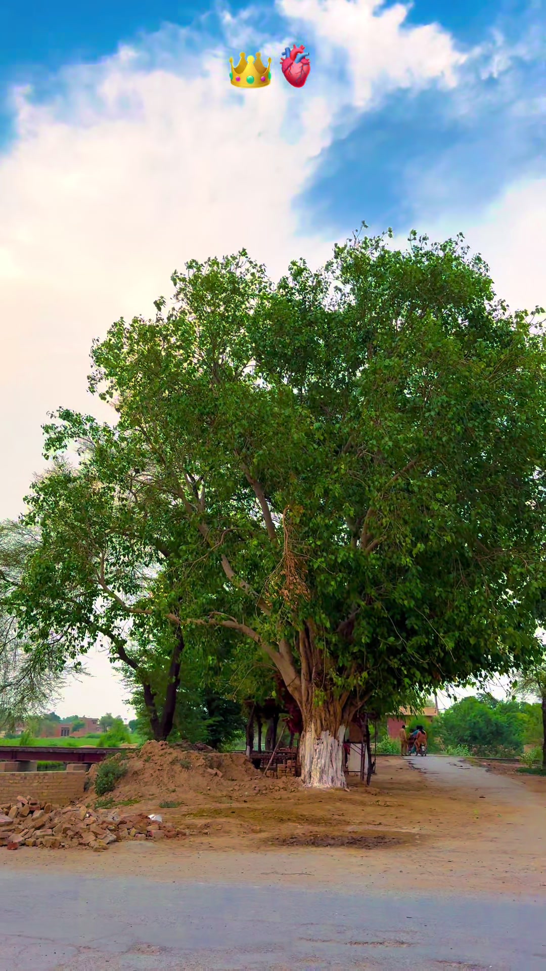 @پنجابی کلچر 🌾🍂