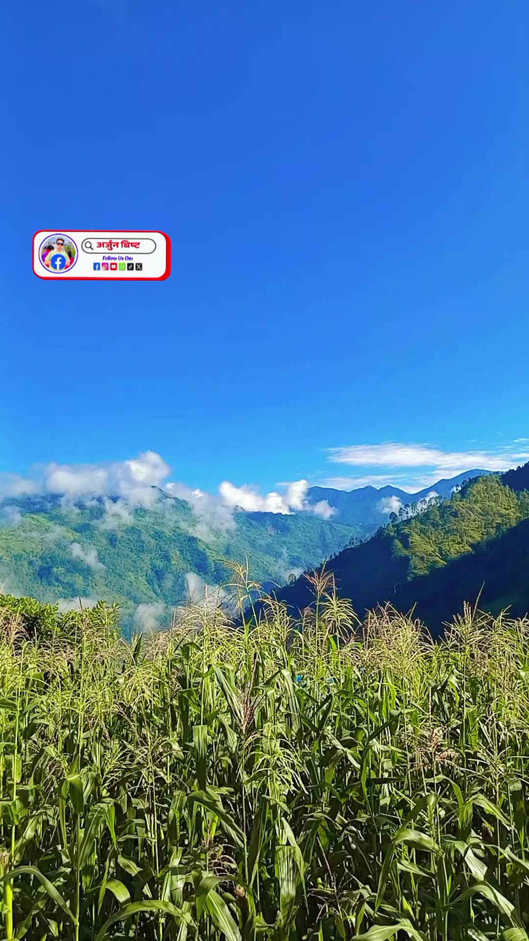 @अर्जुन बिष्ट