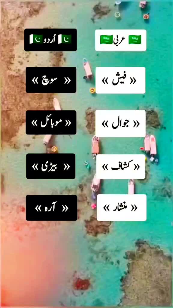 @≛⃝🇩𝐢́𝐥𝐬ش𝐚𝐧 🇩𝐢̀ل𝐮̈ ❤️