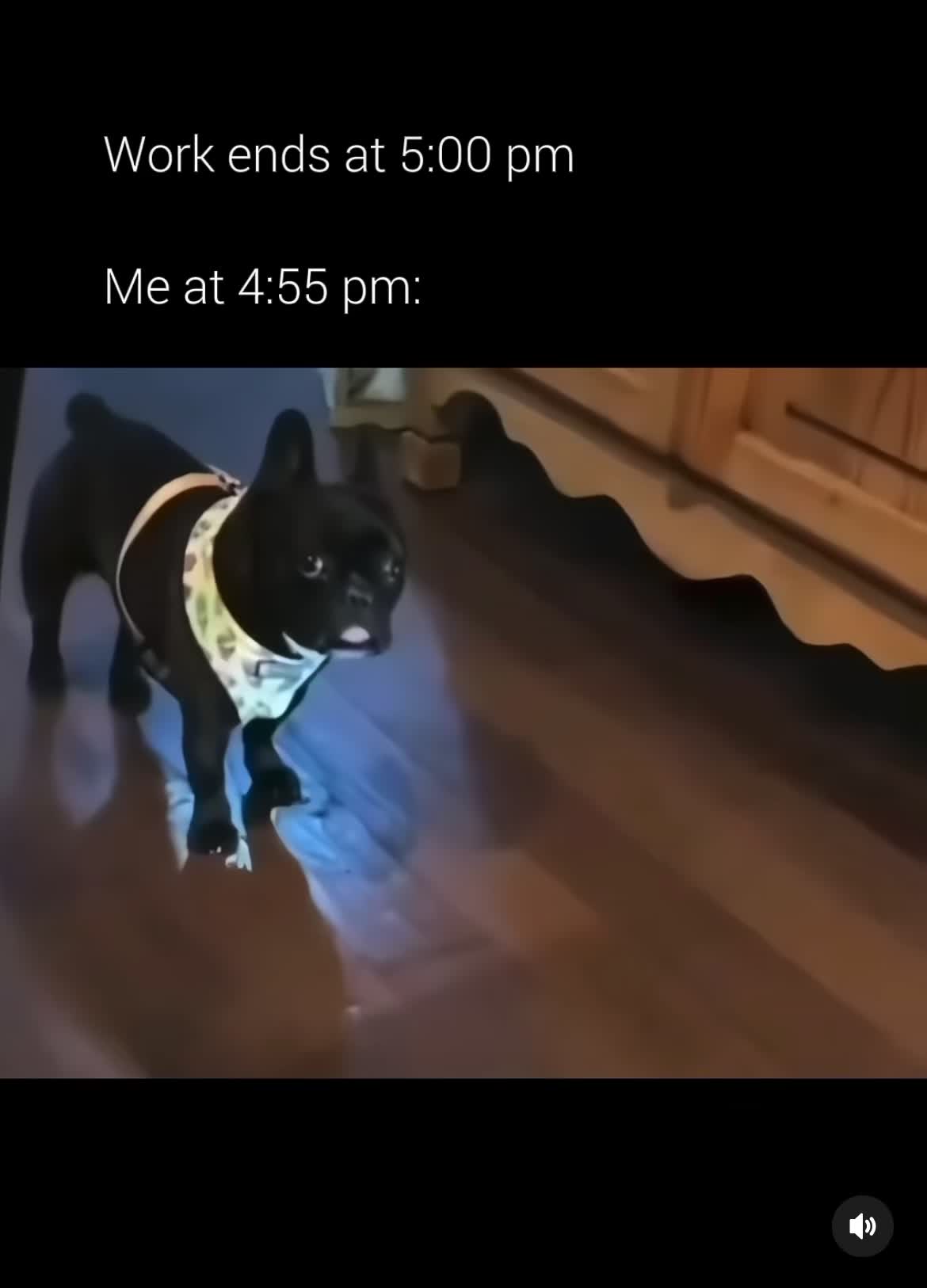 @mrsqueenzz2