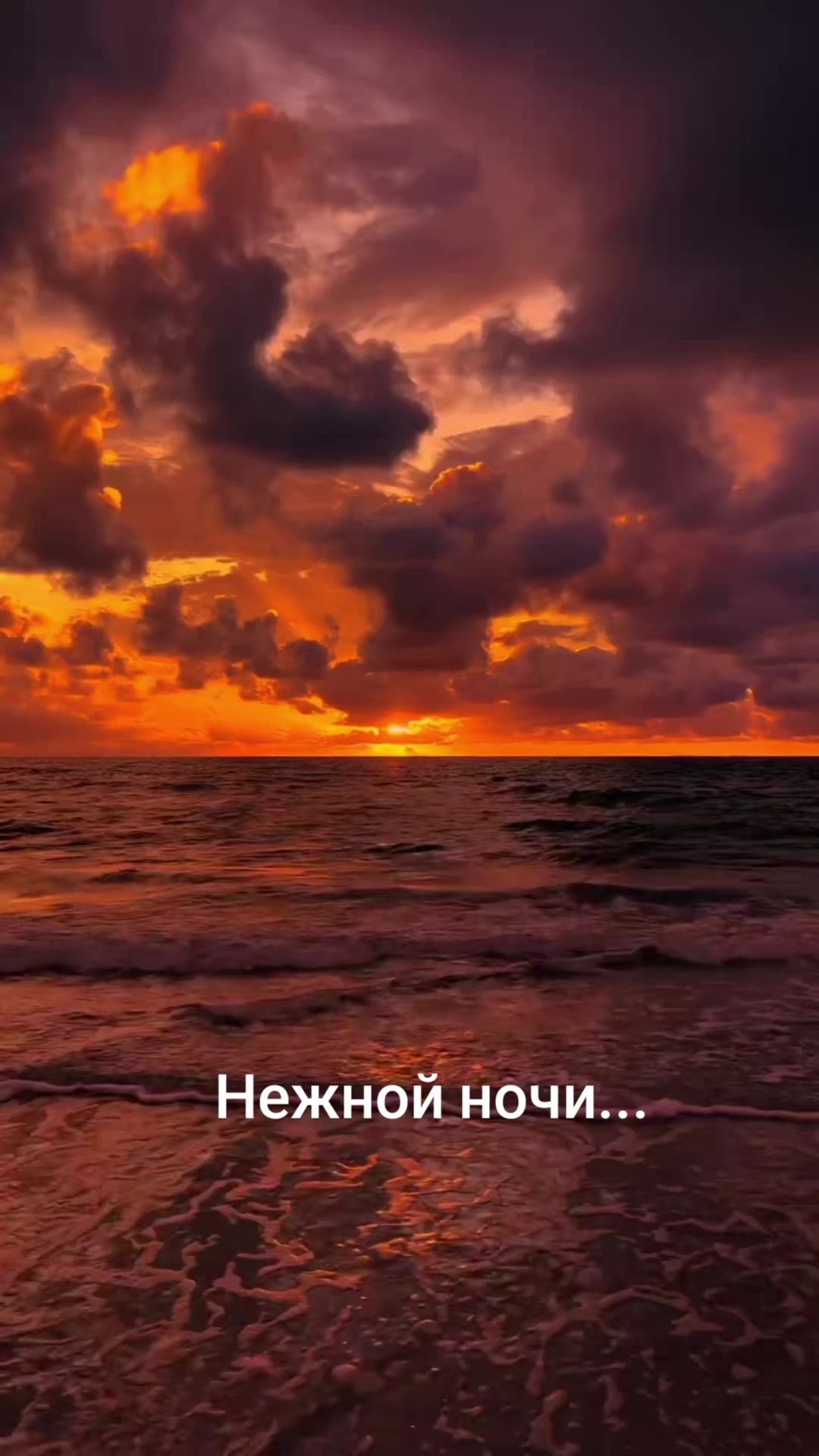 @Мила Телец.