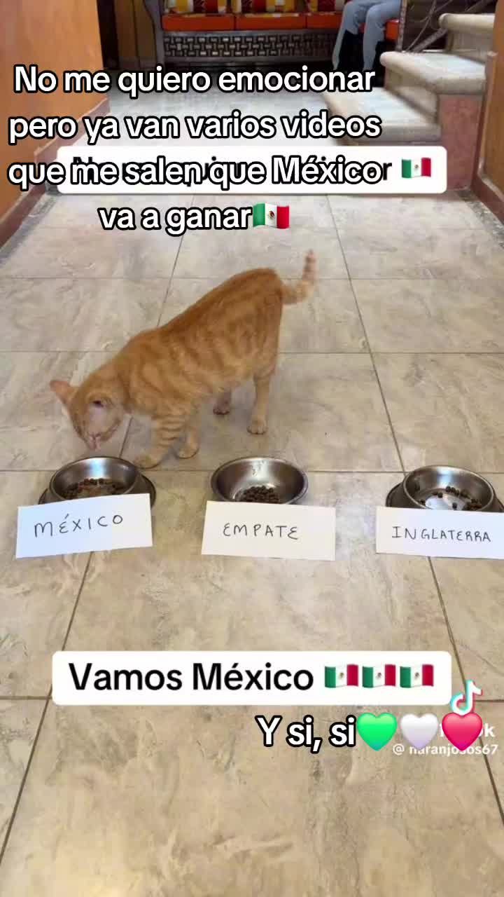 @Tddyhdz💋✨️