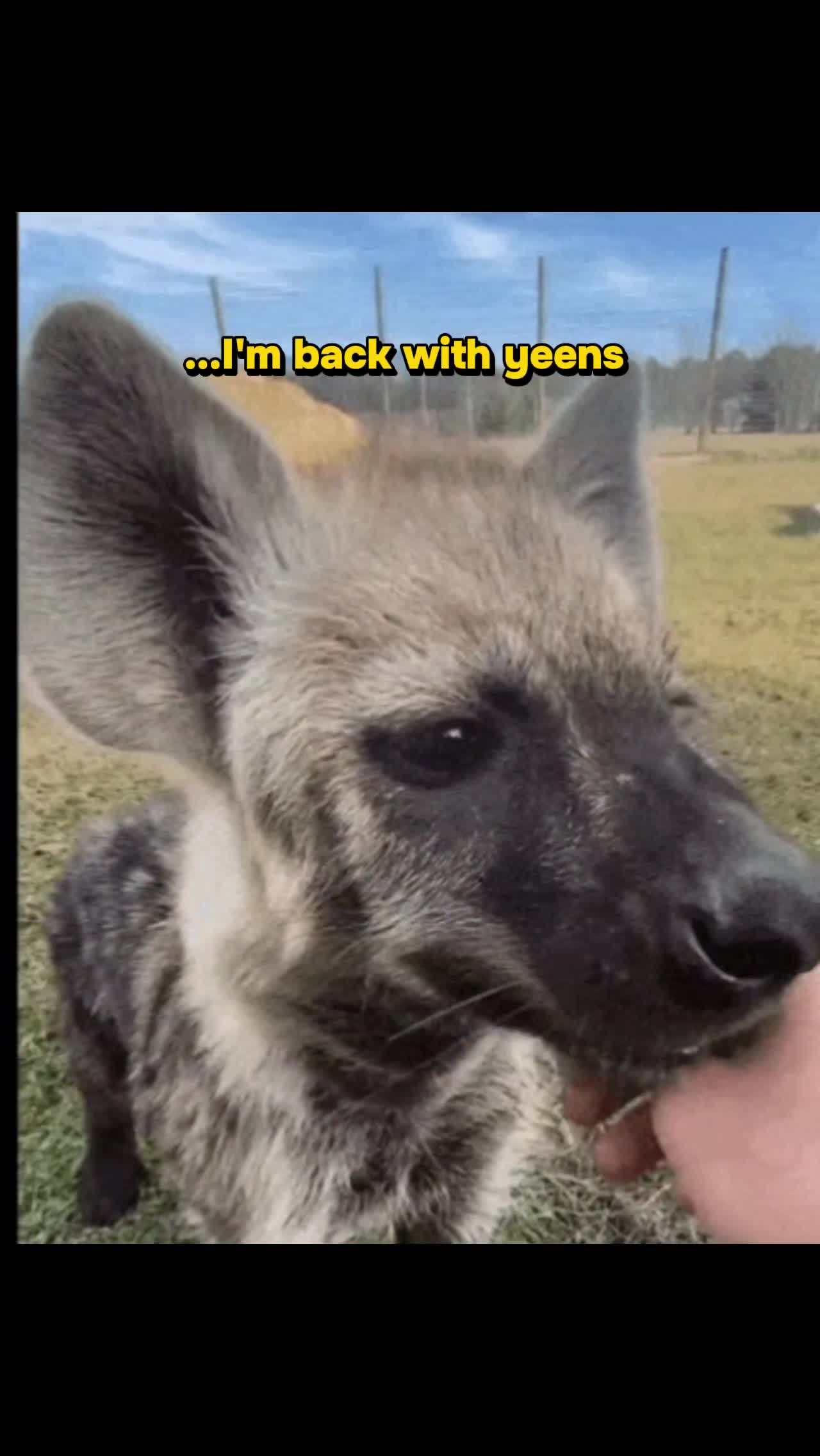 @AbrahamTheHyena✝️