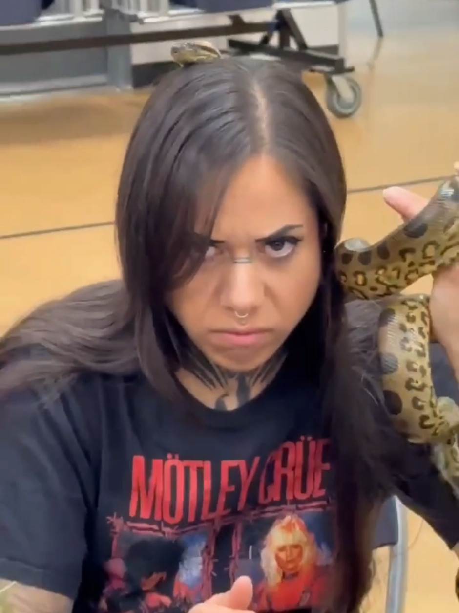 @Chris Exotics