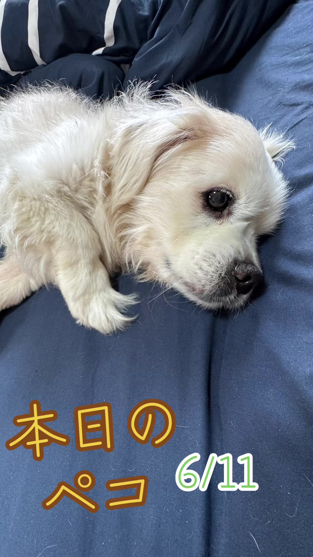 @オクラ