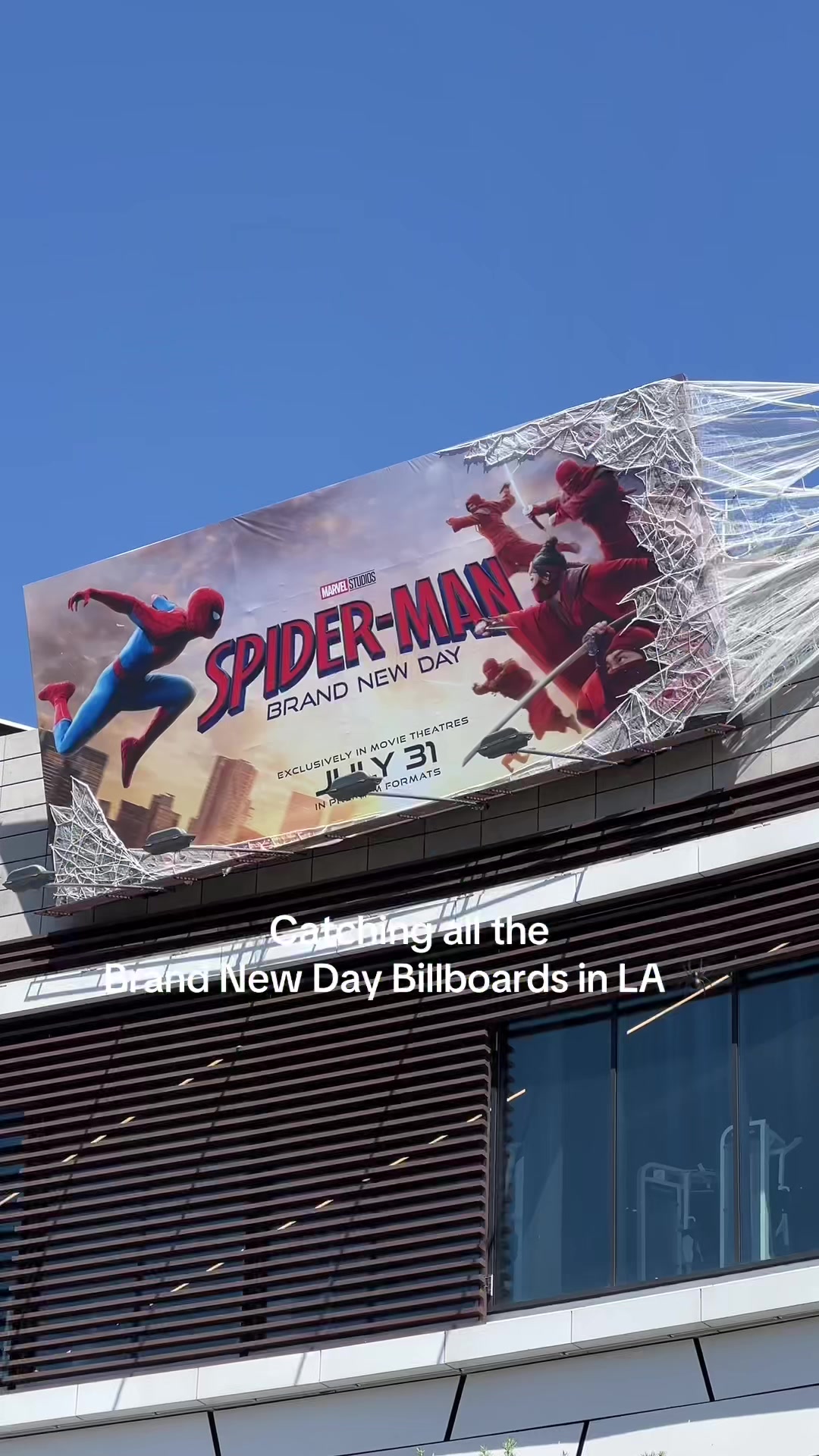 @spideylover
