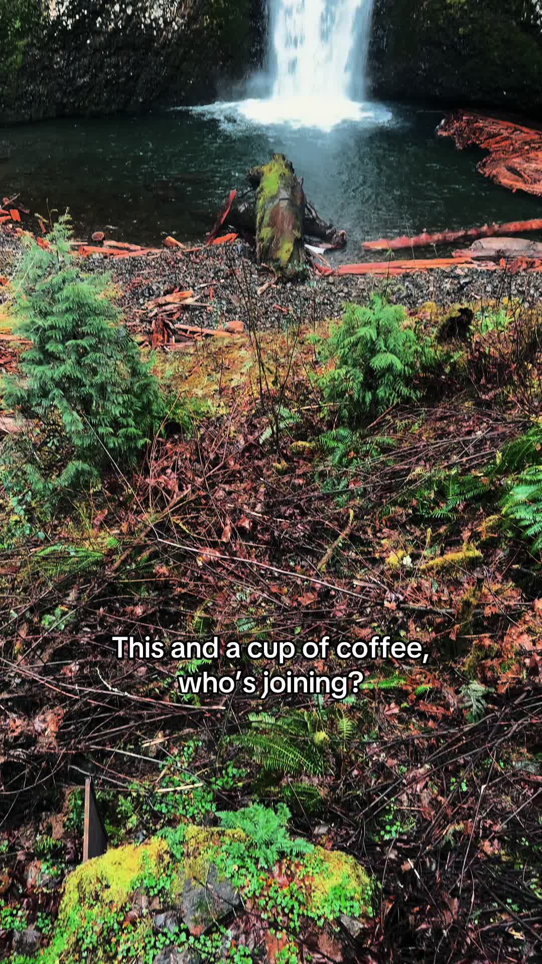 @🌲 James | WA 🏔️