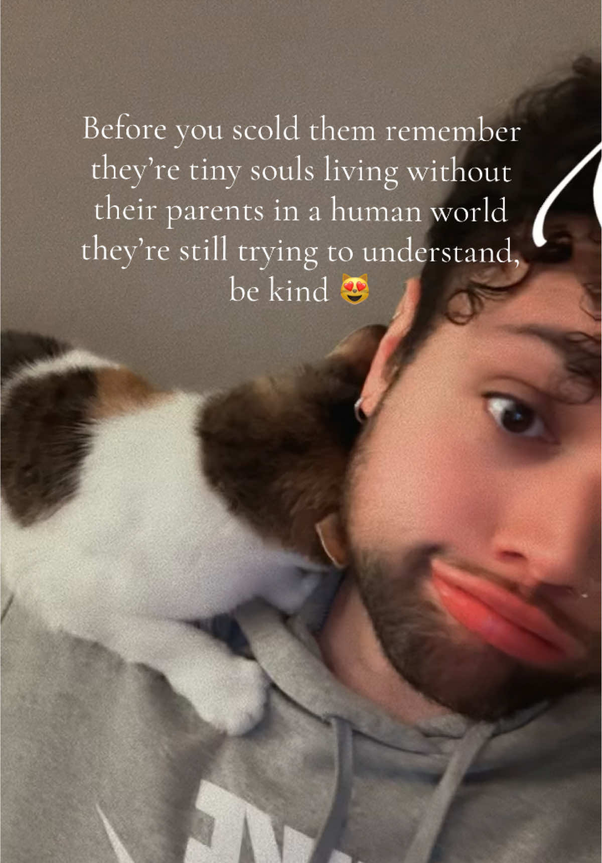 @Purrrrfect Moments