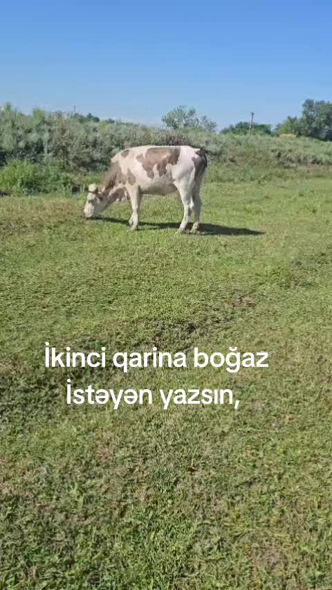 @kend_həyati_041