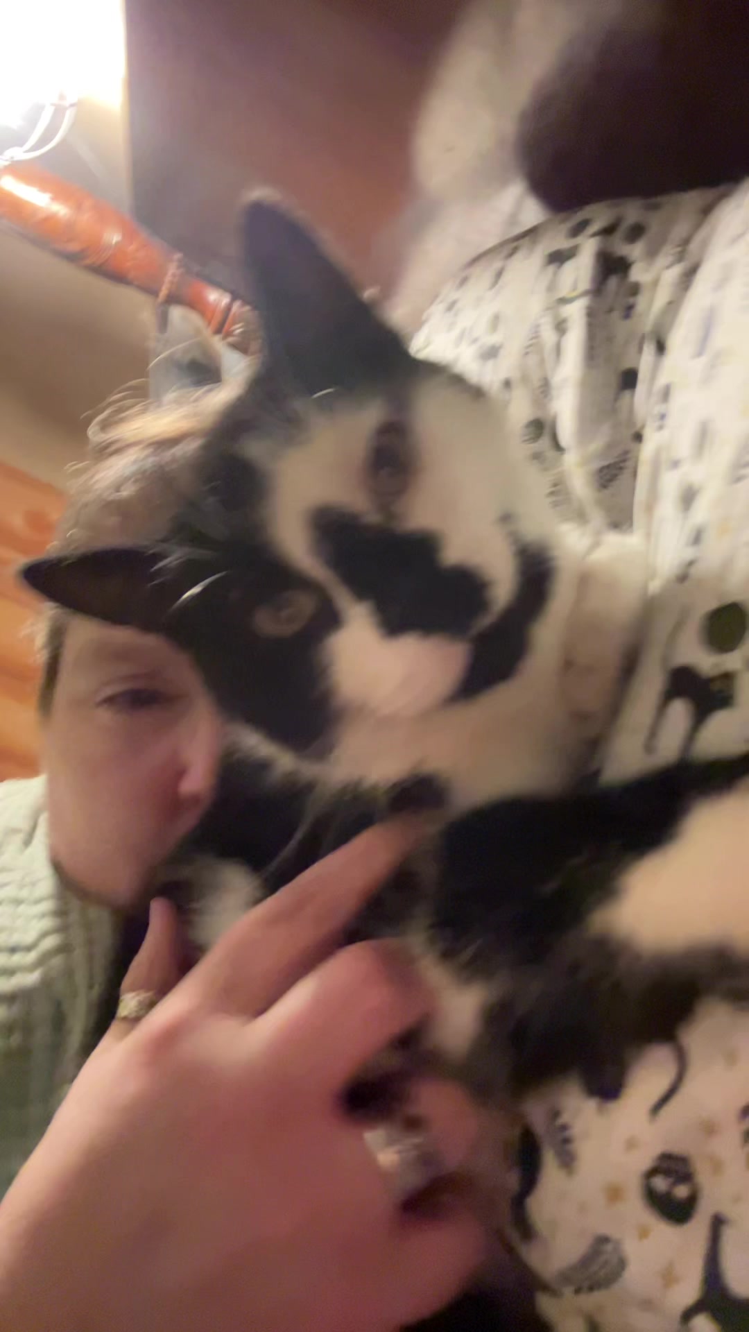@steenercatmom