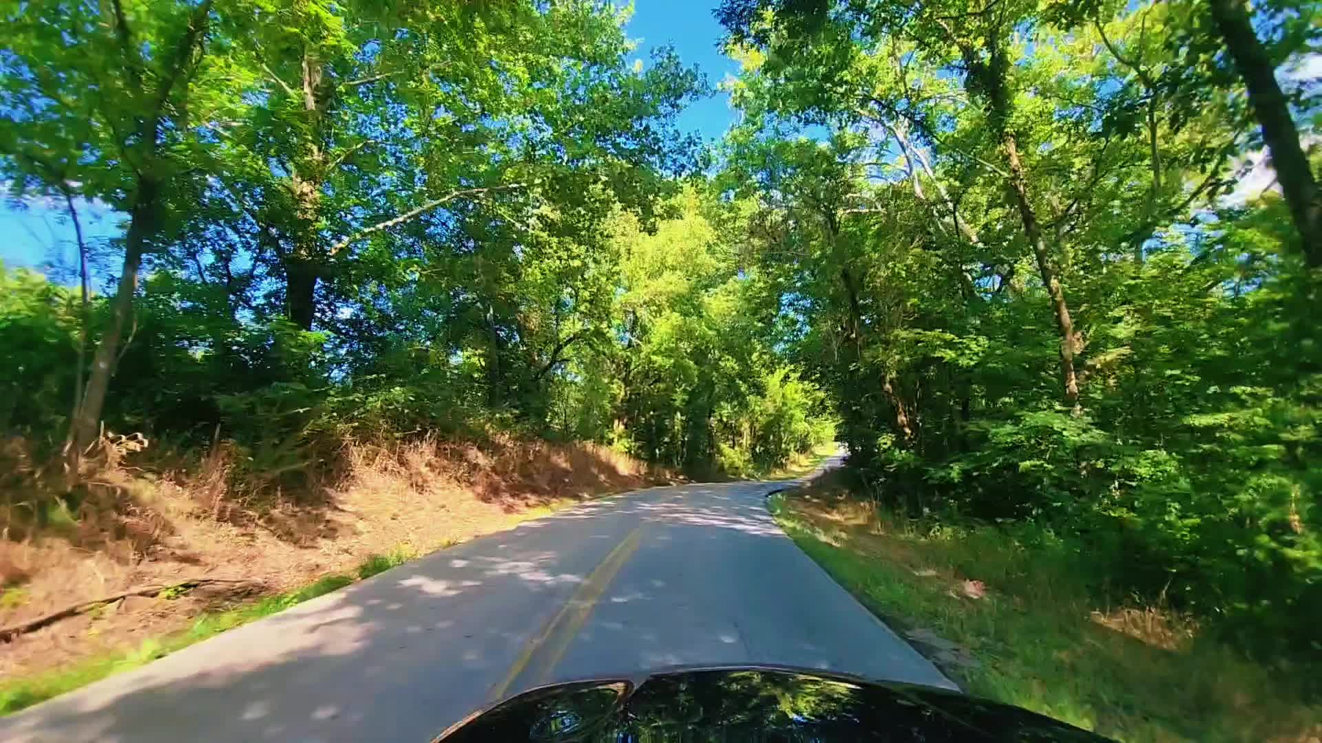 @Forte 🌳🌲🌴 ⛰️
