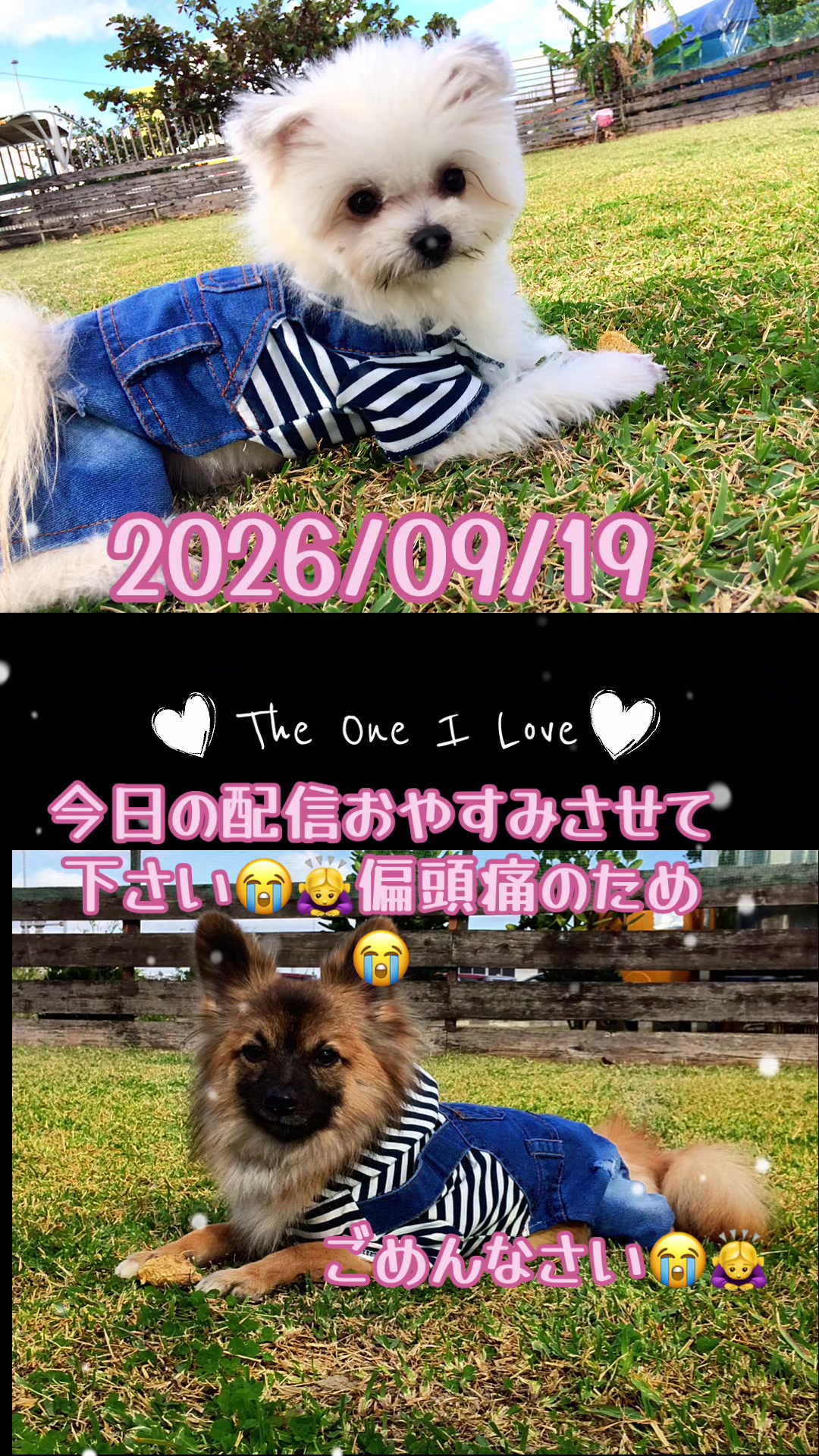 @まりん&レン/20269月21日1周年記念日💓