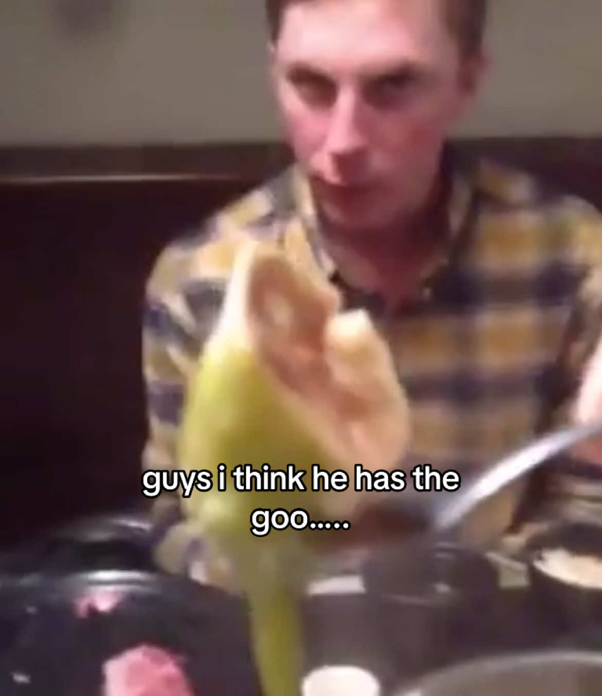 @kiki (ryan’s version)