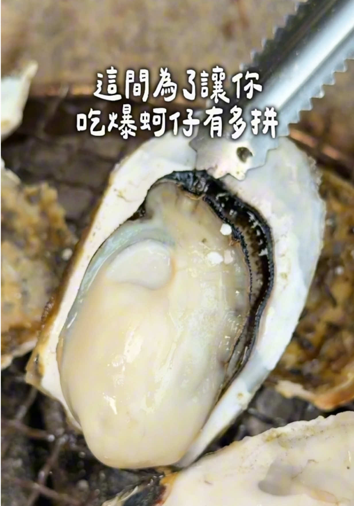 @豪吃來吃