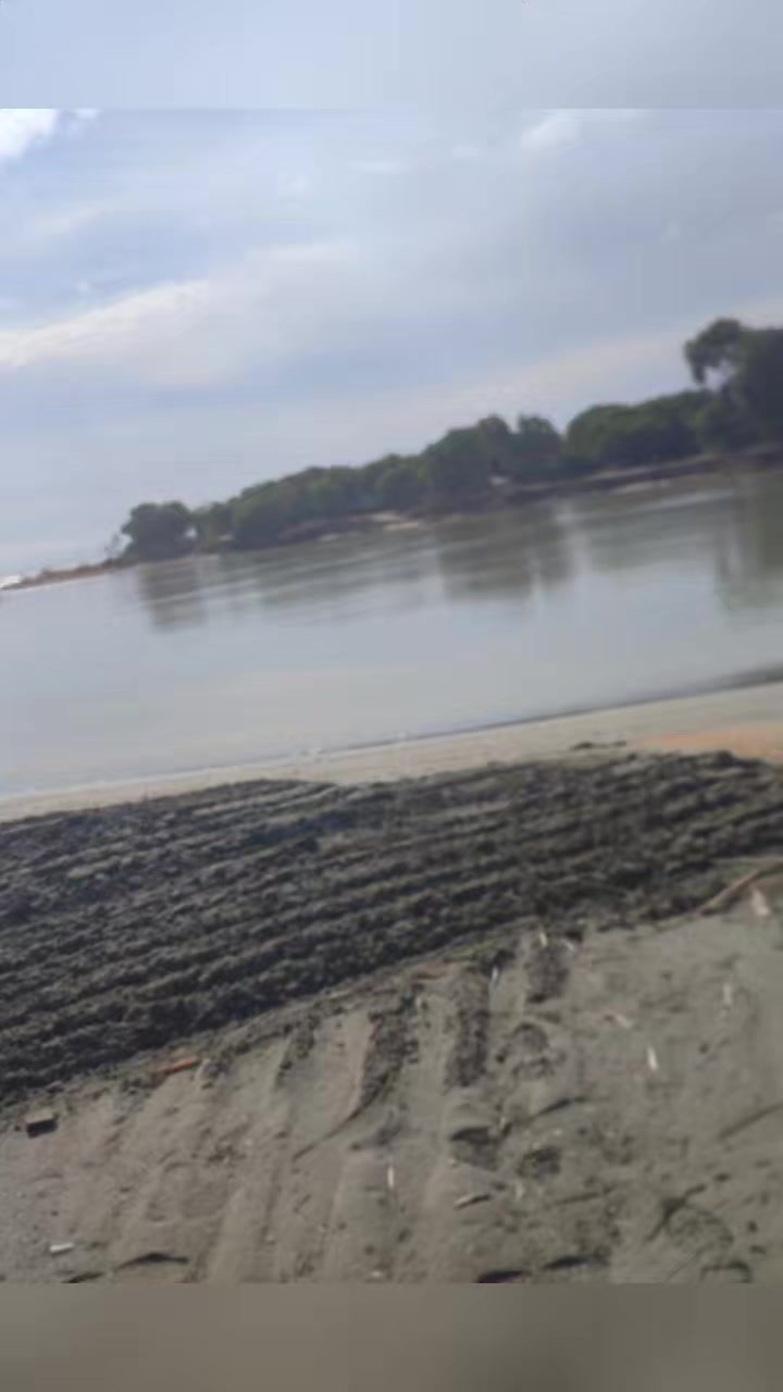 @Tülin Kolcubaşı