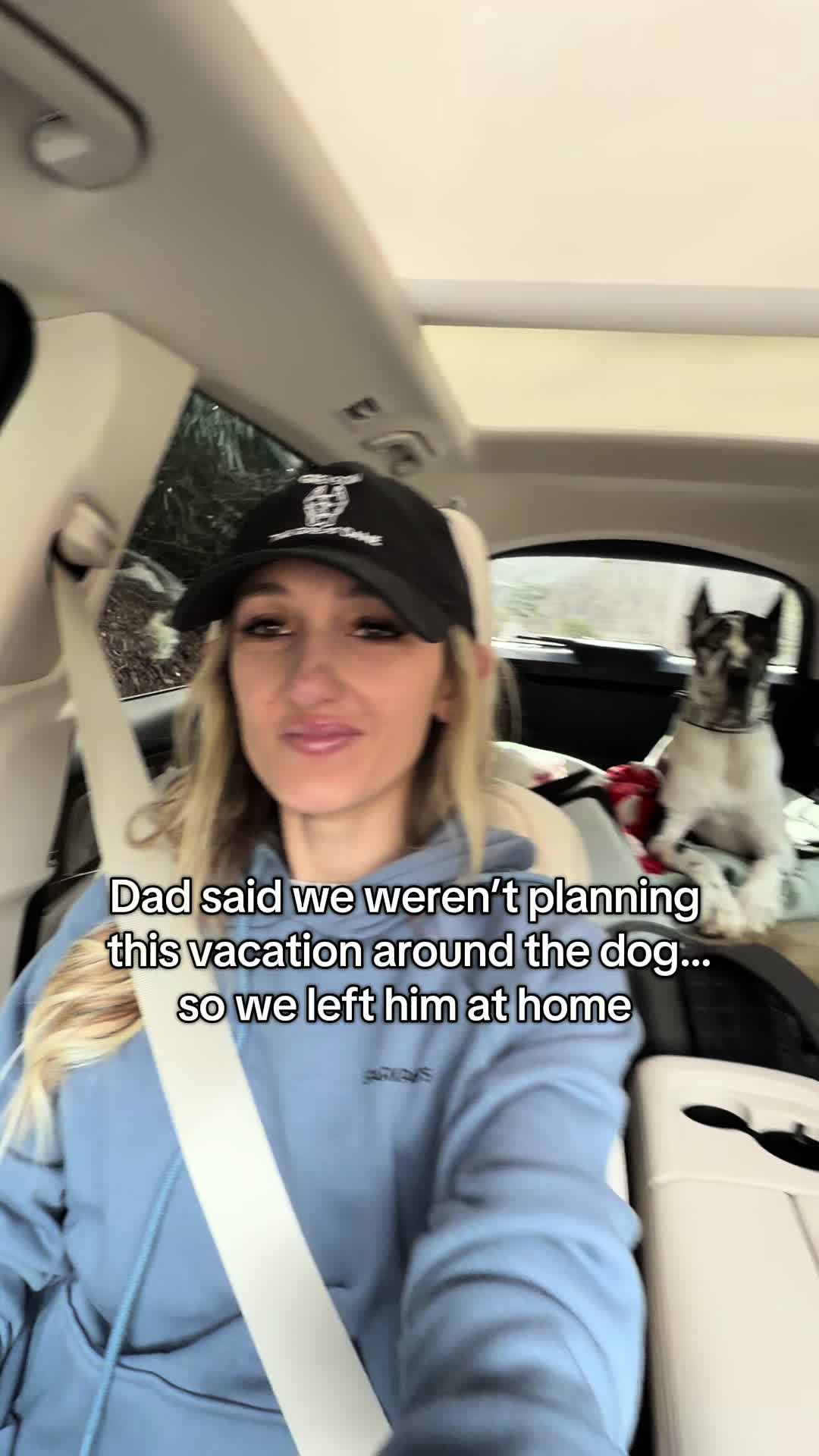 @Greyson the Great Dane