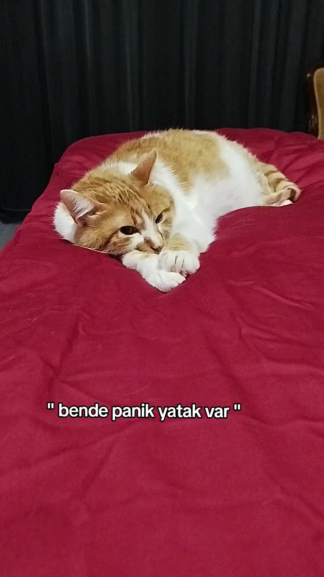 @KAVUN