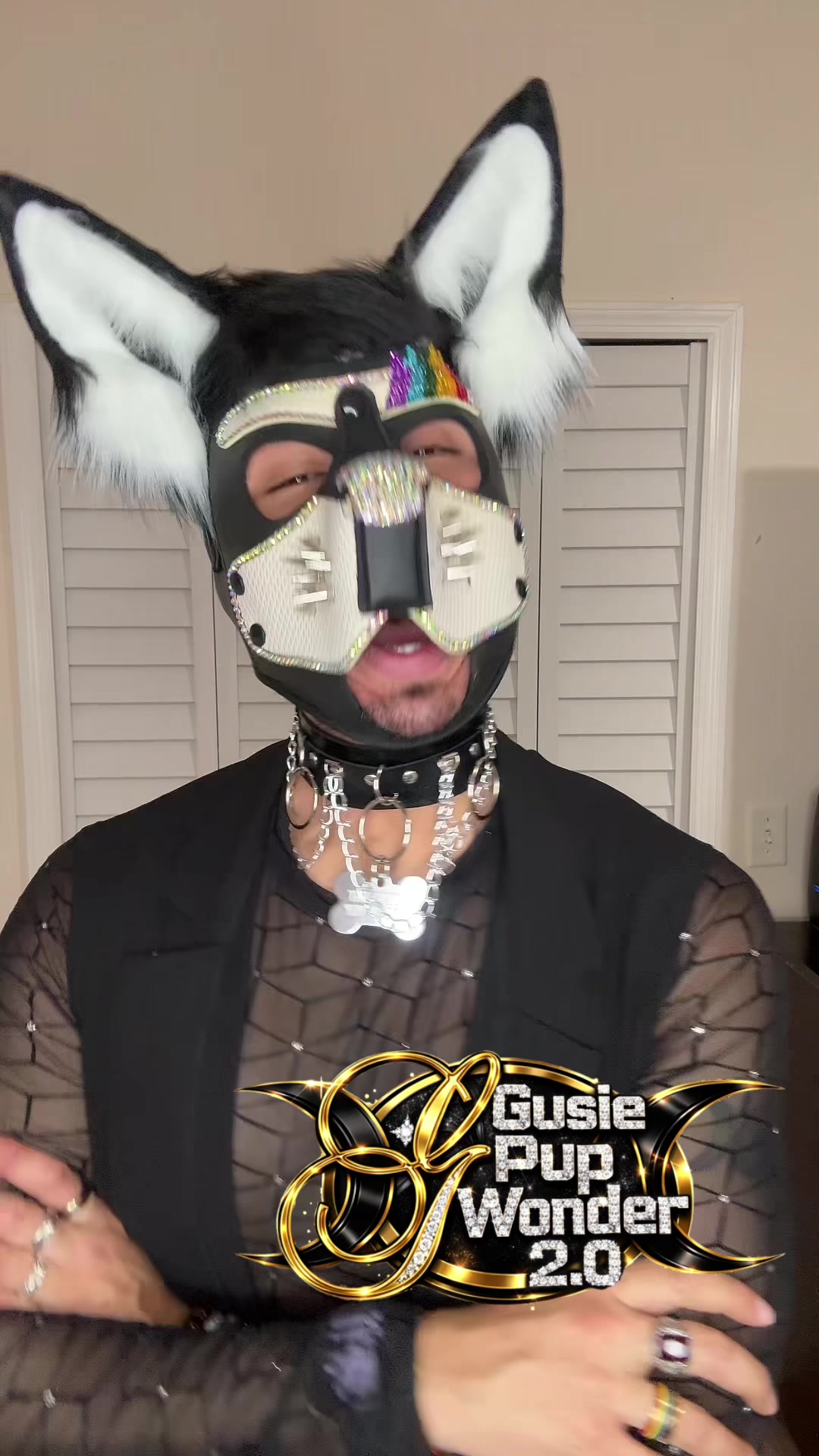 @🦚Gusie Pup Wonder 2.0🦚
