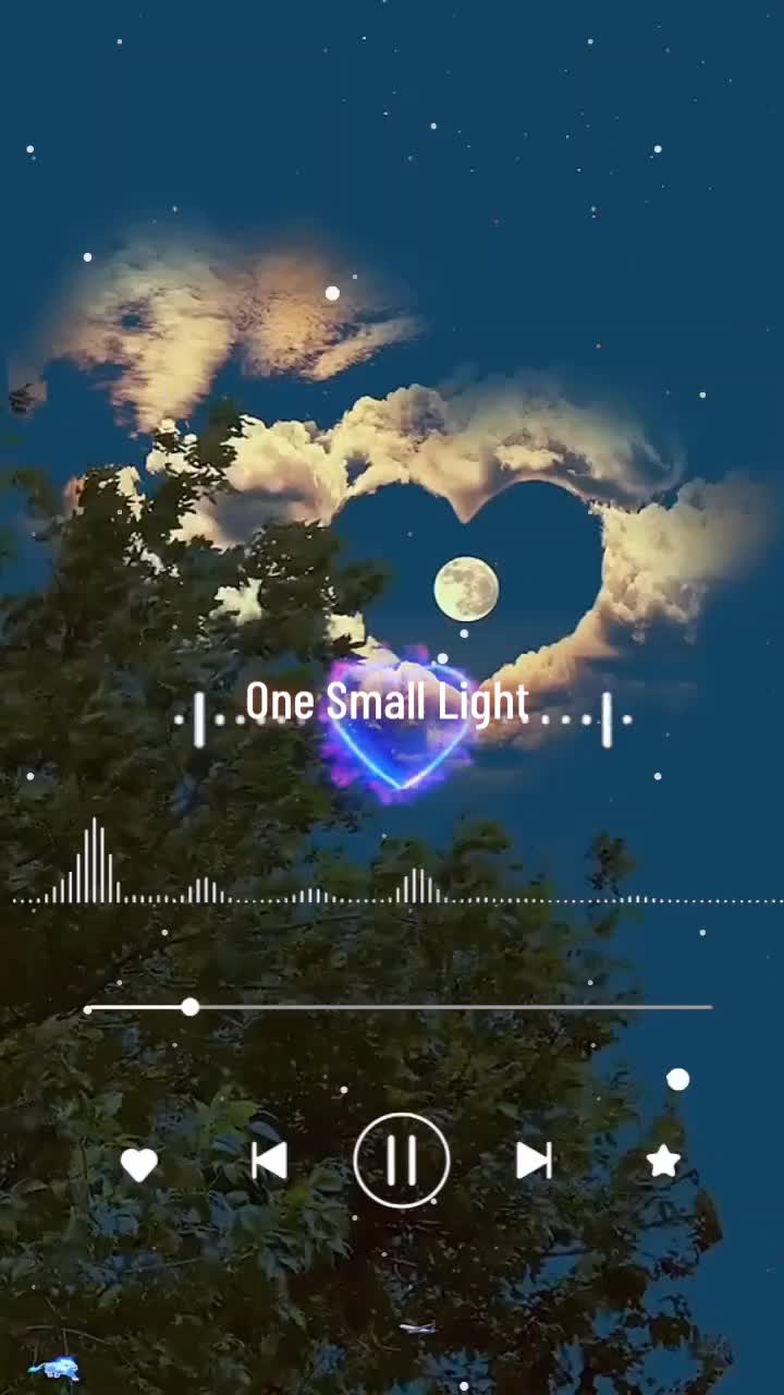 @Mr TikTok