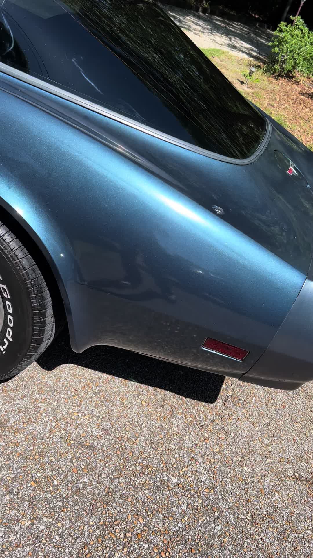 @Fly guy detailing