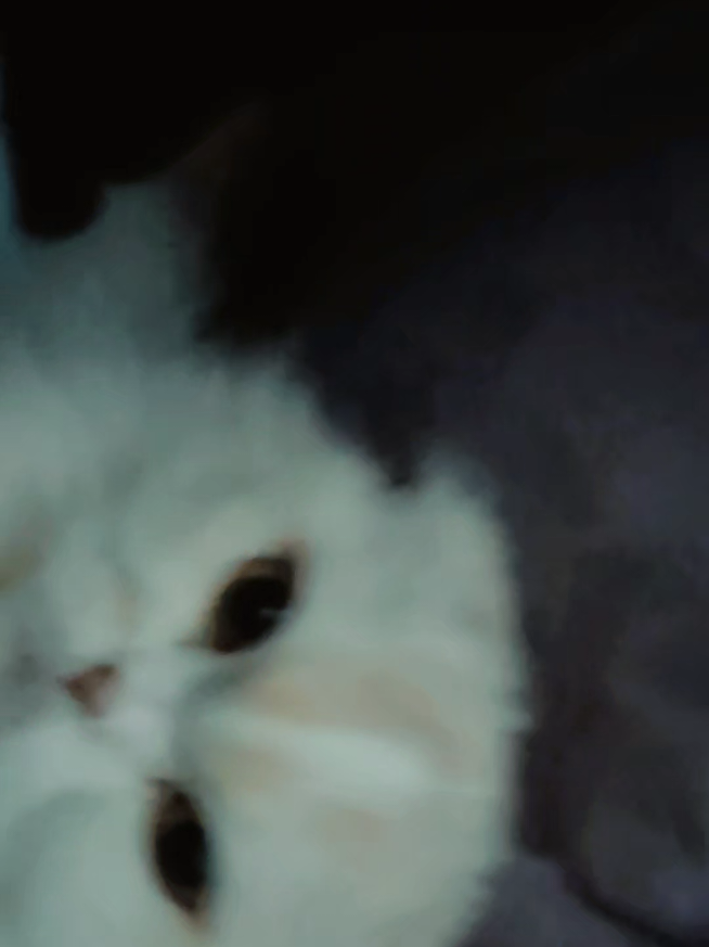 @๐๋ง๋ฆฐ๋ธ๋ฃจJ