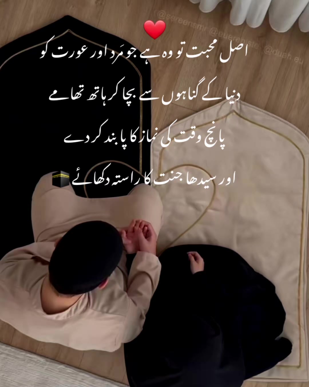 @Jannat Navid