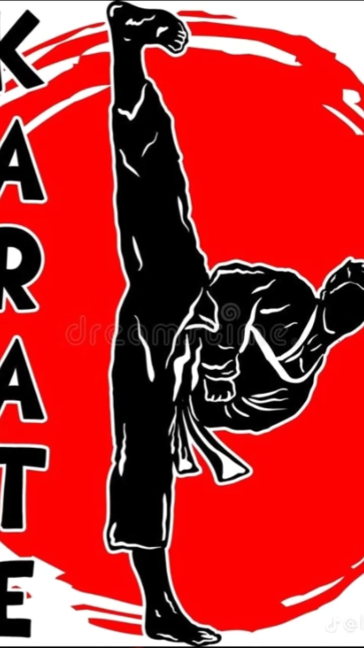 @karate is my life