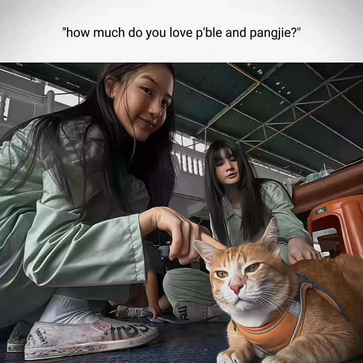 @BleJie 🍁🐧