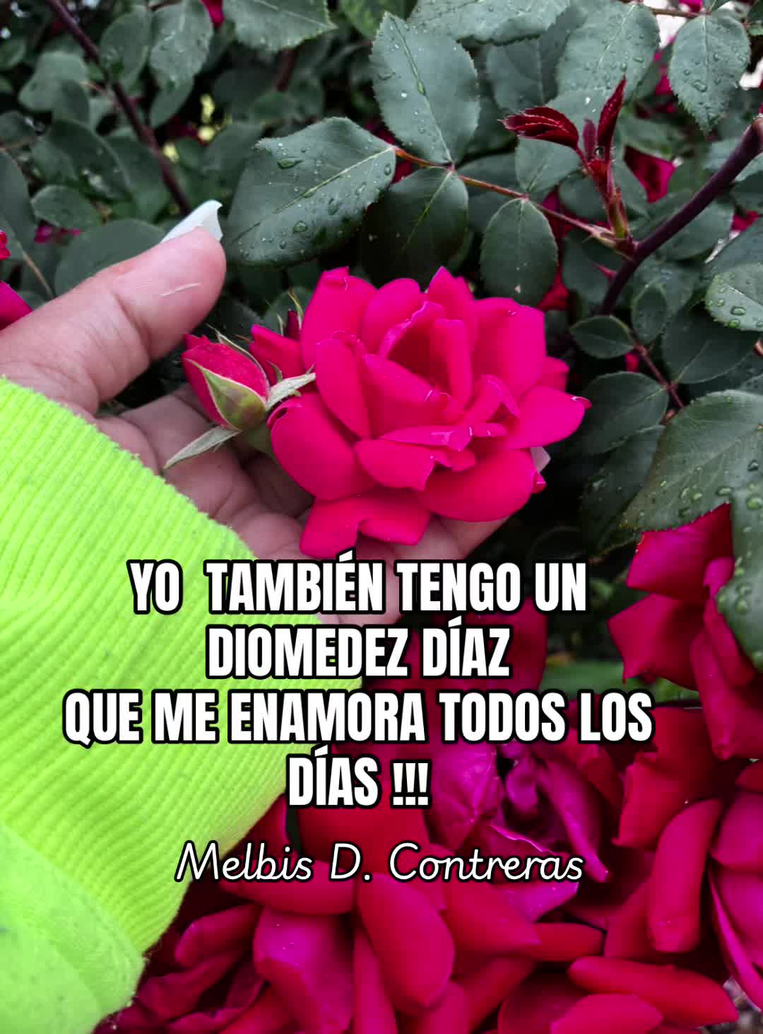 @Ashlie Contreras