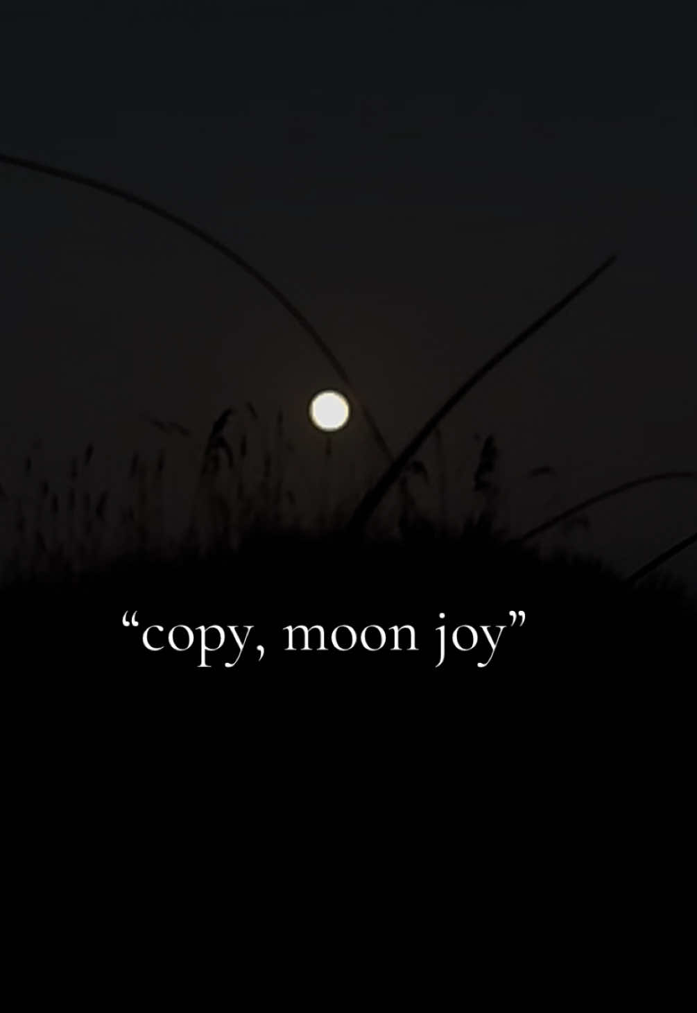 @MegN ☾☼