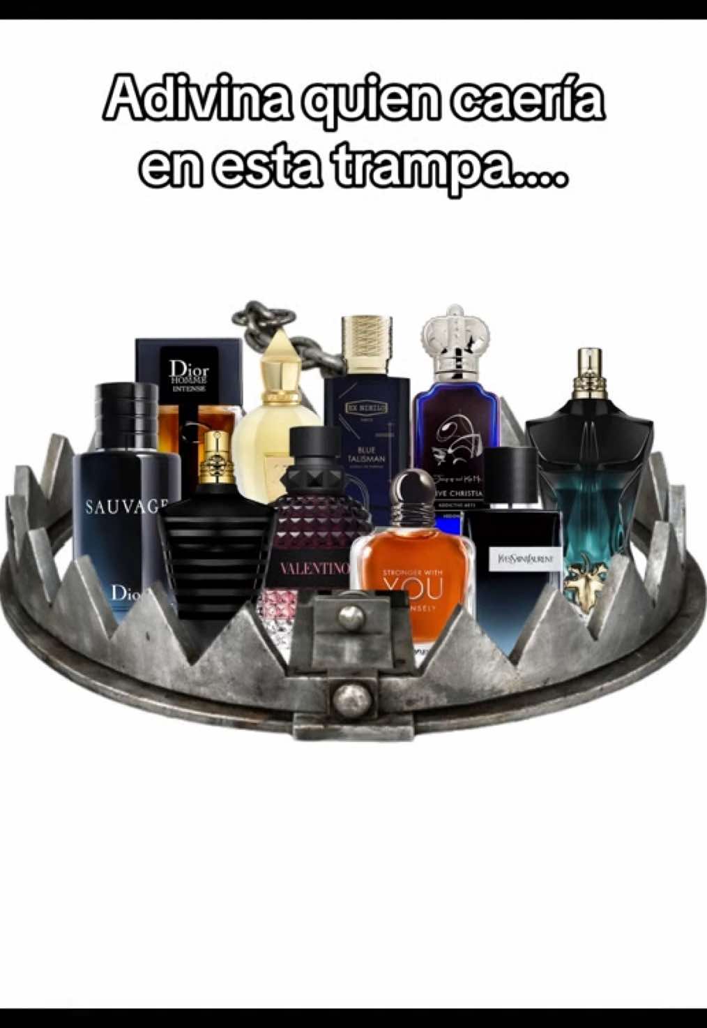 @Zephyr Parfums